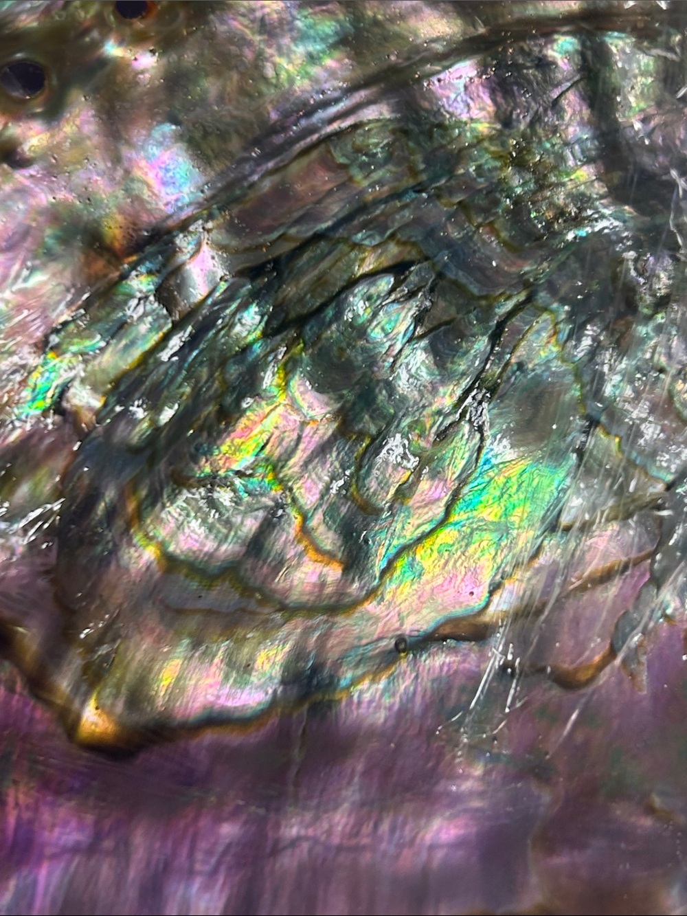 Abalone shell for smudging or as a beautiful coffee table accent! - Picture 3 of 5